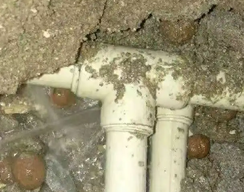 百色市测漏水多少钱