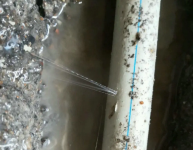 百色市测漏水哪家好