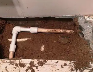 百色市测漏水哪家好