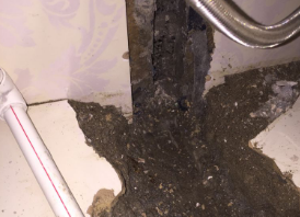 百色市卫生间测漏水哪家好