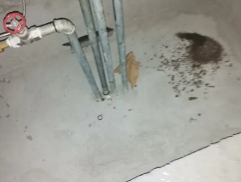 百色市卫生间测漏水价格明细