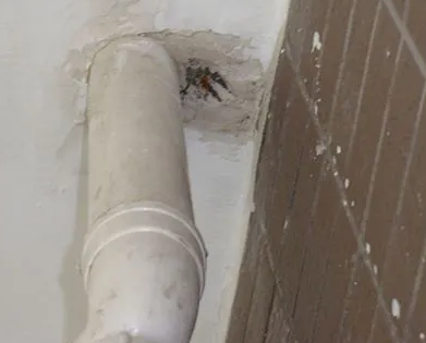 百色市漏水检测哪家好